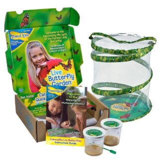 Butterfly Garden Kit for Kids