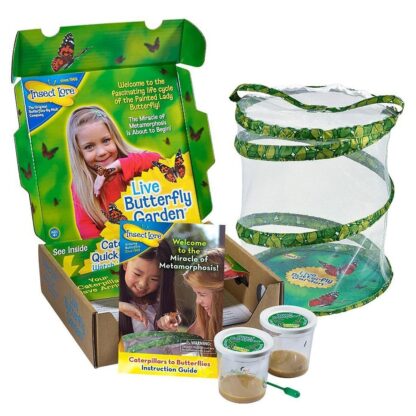 Butterfly Garden Kit for Kids