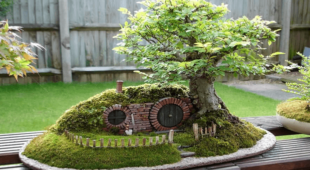 Bonsai fairy garden