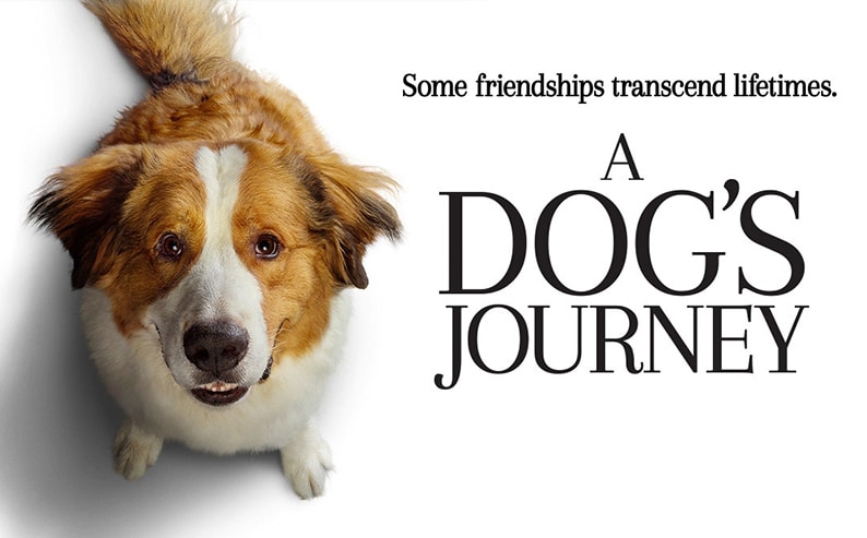 A Dog's Journey 2019